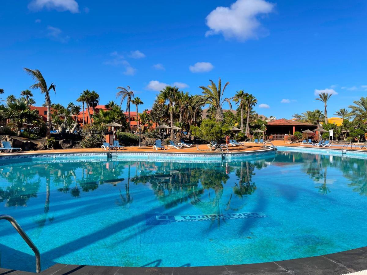 Appartement Adamsurfcom